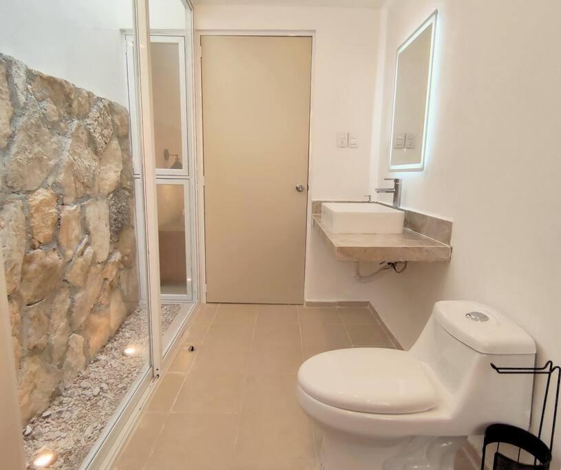 Apartmán Casa Colibri Con Alberca En El Centro Mérida Exteriér fotografie