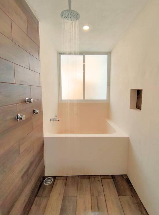 Apartmán Casa Colibri Con Alberca En El Centro Mérida Exteriér fotografie